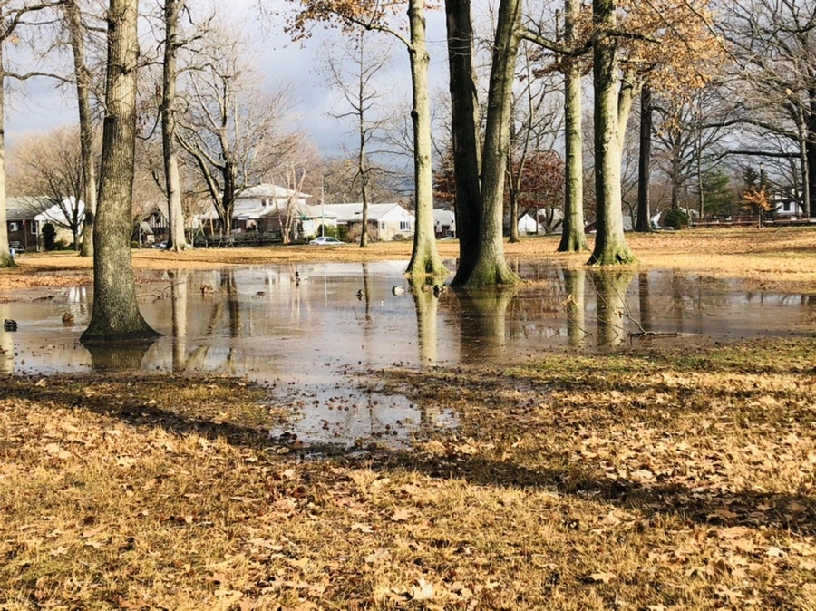 IMG_3474.jpg?type=w966