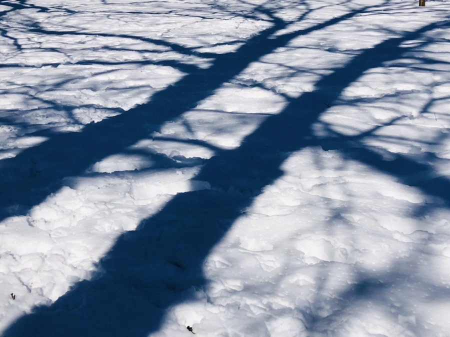 IMG_3961.jpg?type=w966