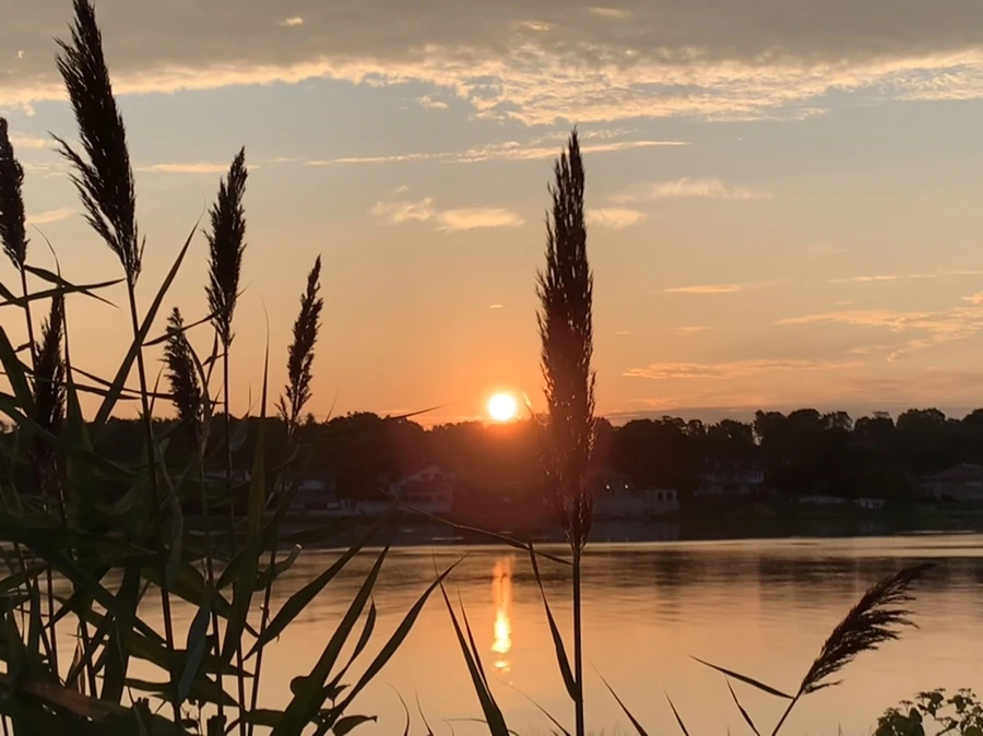 IMG_1280.jpg?type=w966