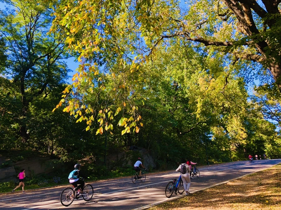 IMG_1677.jpg?type=w966