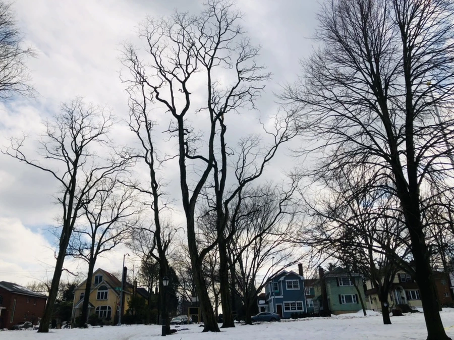 IMG_2863.jpg?type=w966