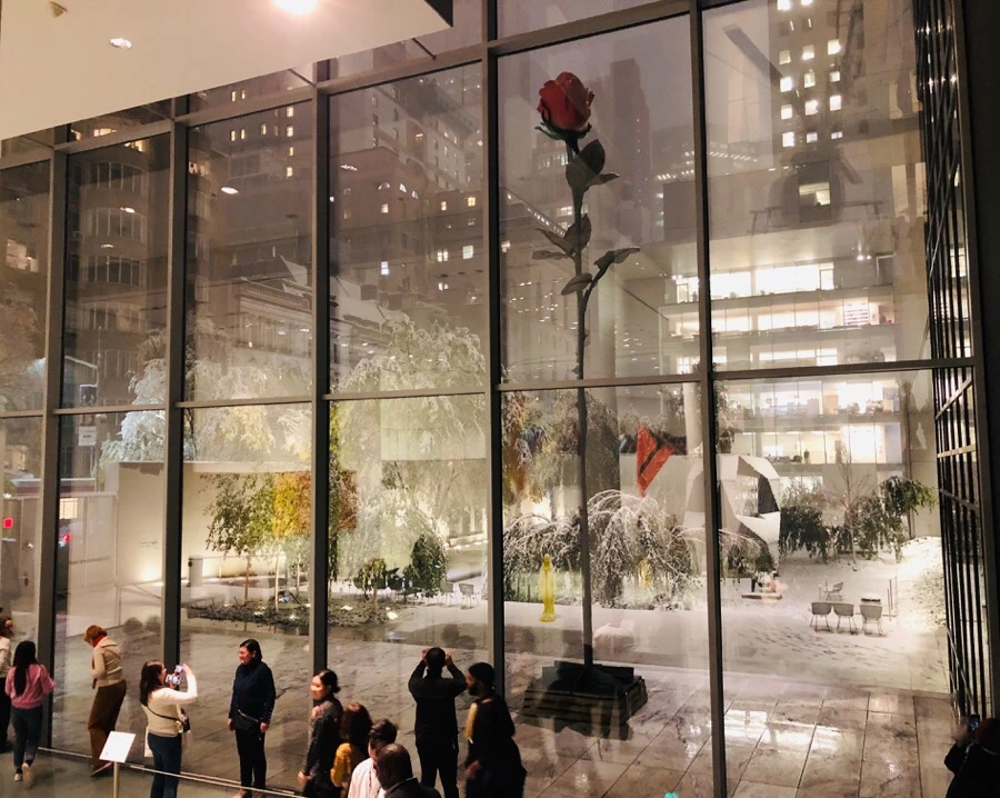 IMG_7786.jpg?type=w966