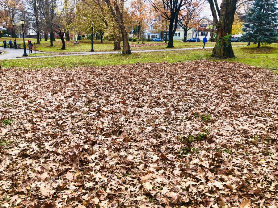 IMG_5451.jpg?type=w966