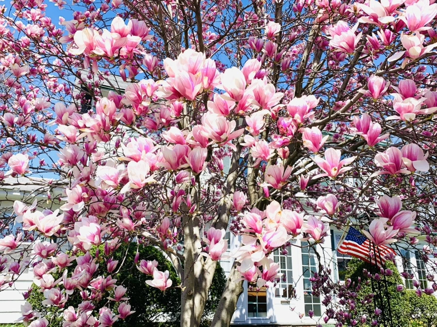 IMG_8572.jpg?type=w966