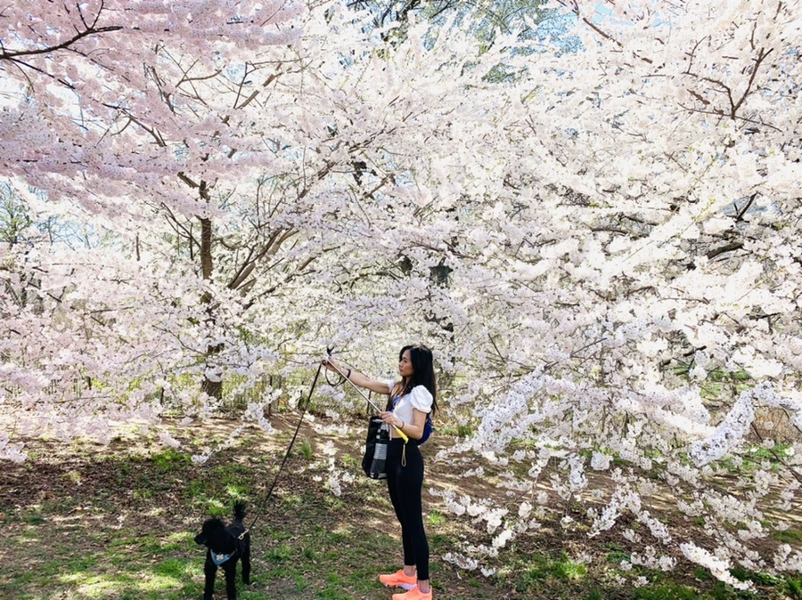 IMG_8978.jpg?type=w966