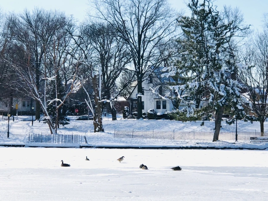 IMG_1305.jpg?type=w966