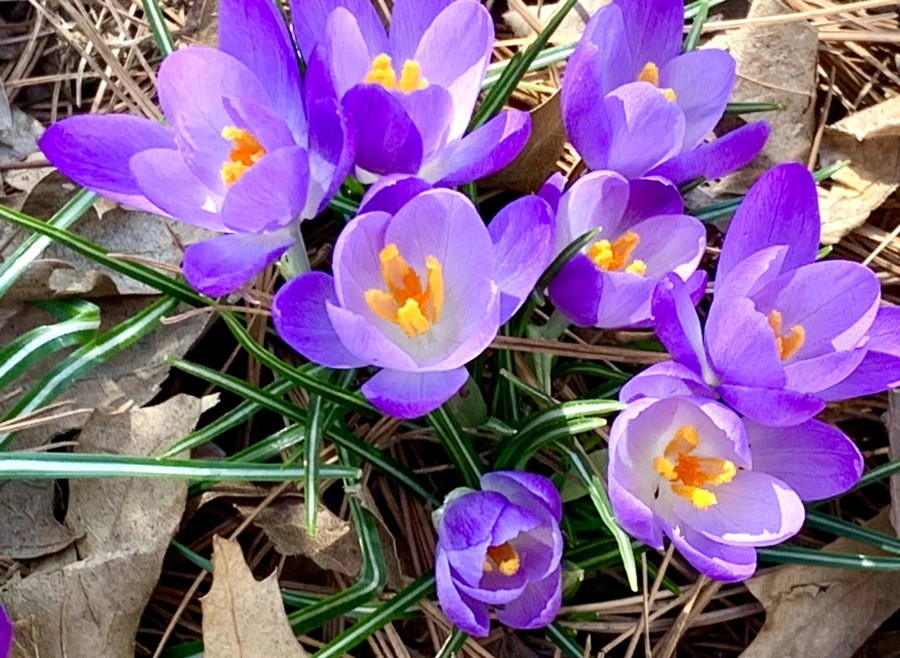 IMG_1282.jpg?type=w966