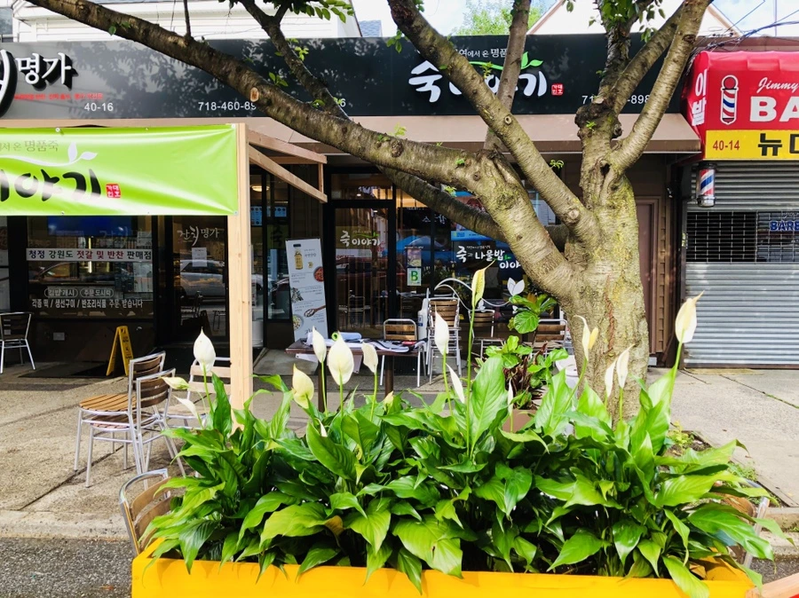 IMG_4260.jpg?type=w966