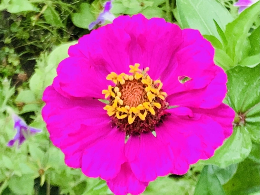 IMG_3674.jpg?type=w966