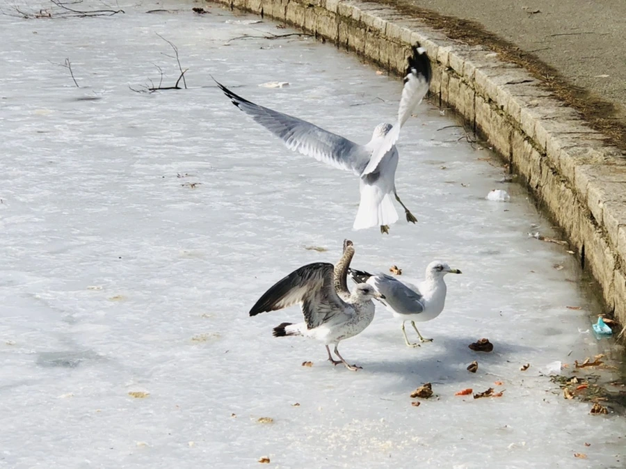 IMG_3139.jpg?type=w966