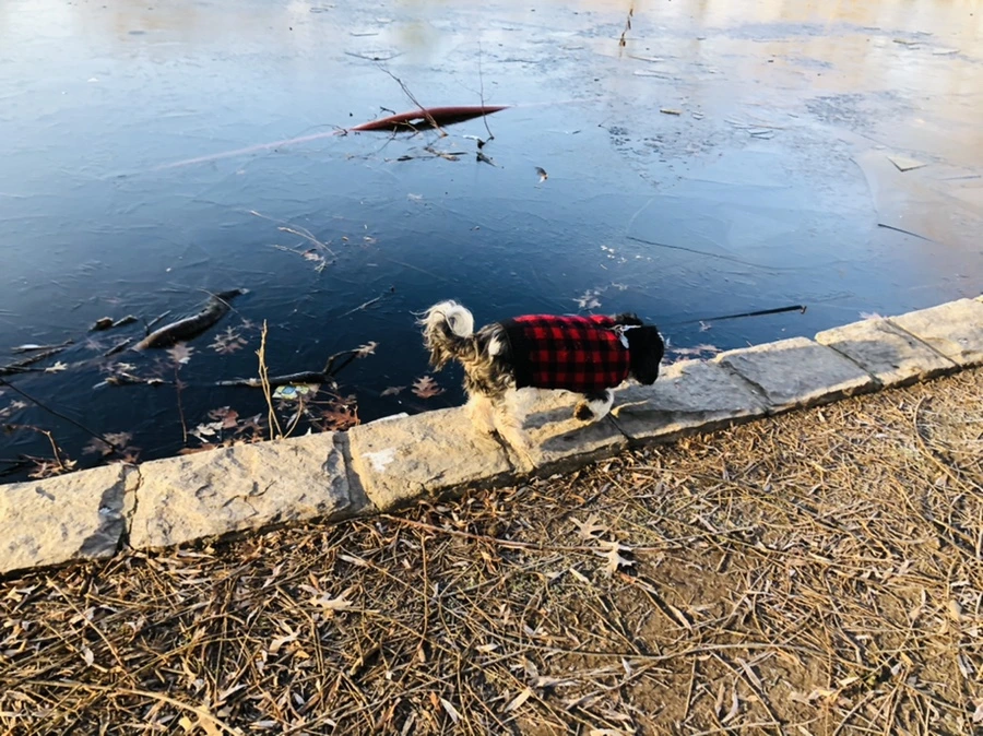 IMG_2273.jpg?type=w966