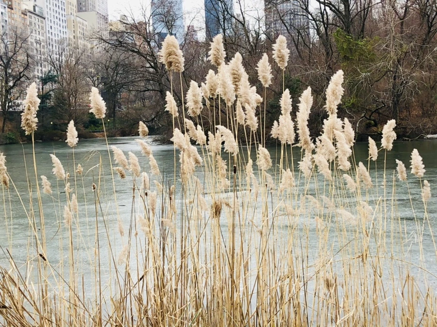 IMG_2412.jpg?type=w966