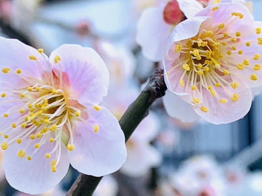 IMG_1016.jpg?type=w966