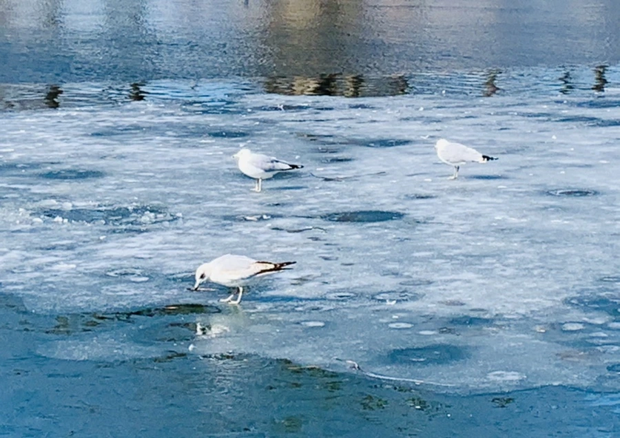 IMG_6984.jpg?type=w966