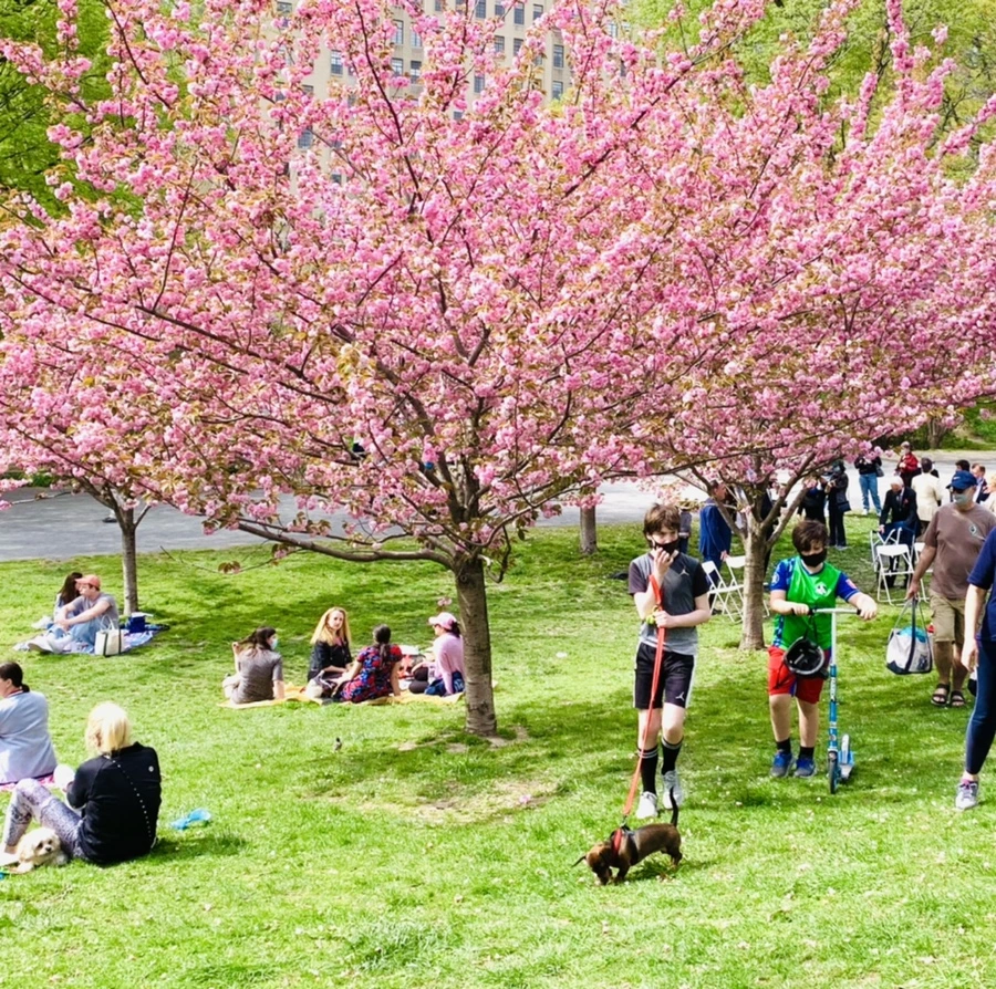 IMG_5183.jpg?type=w966