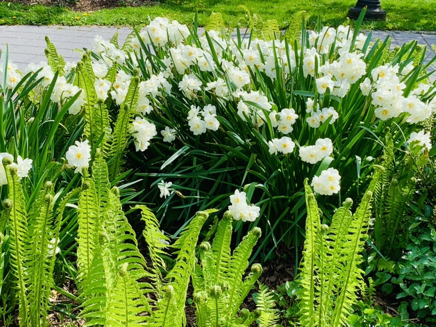 IMG_6894.jpg?type=w966