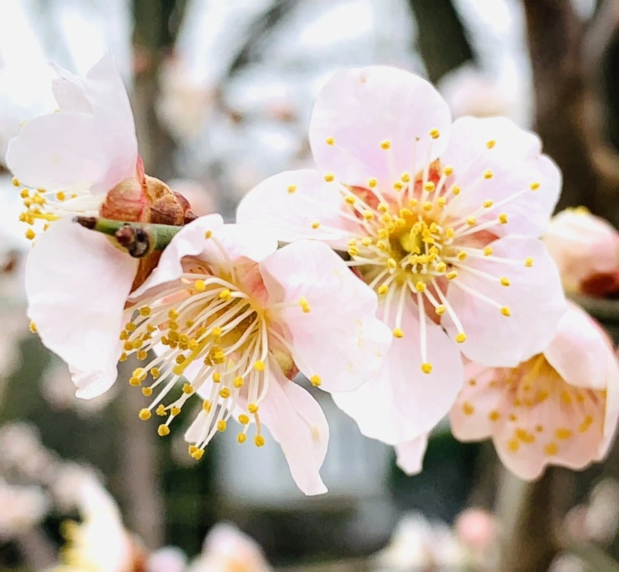 IMG_1686.jpg?type=w966