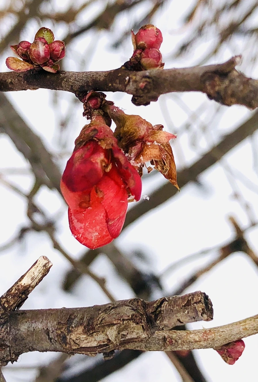 IMG_9031.jpg?type=w966