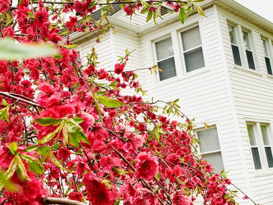 IMG_7972.jpg?type=w966