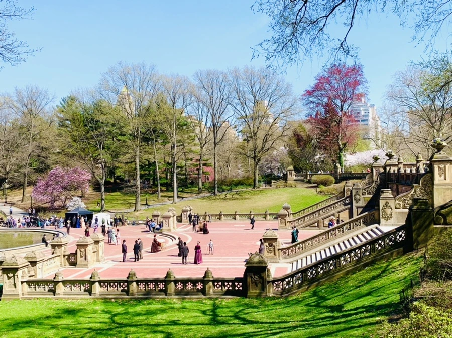 IMG_8949.jpg?type=w966