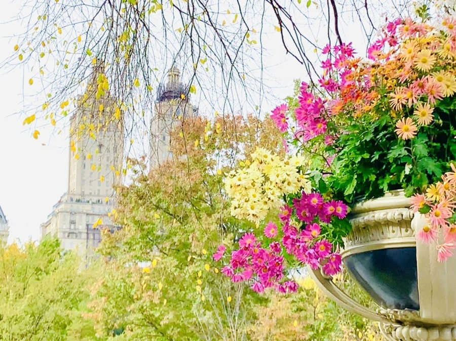 IMG_0169.jpg?type=w966