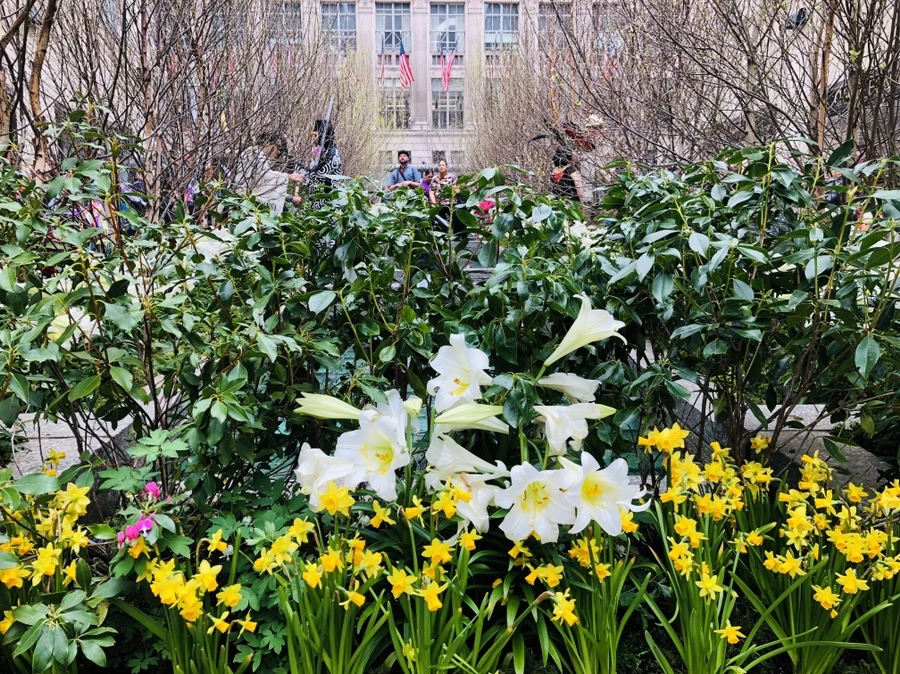 IMG_3436.jpg?type=w966