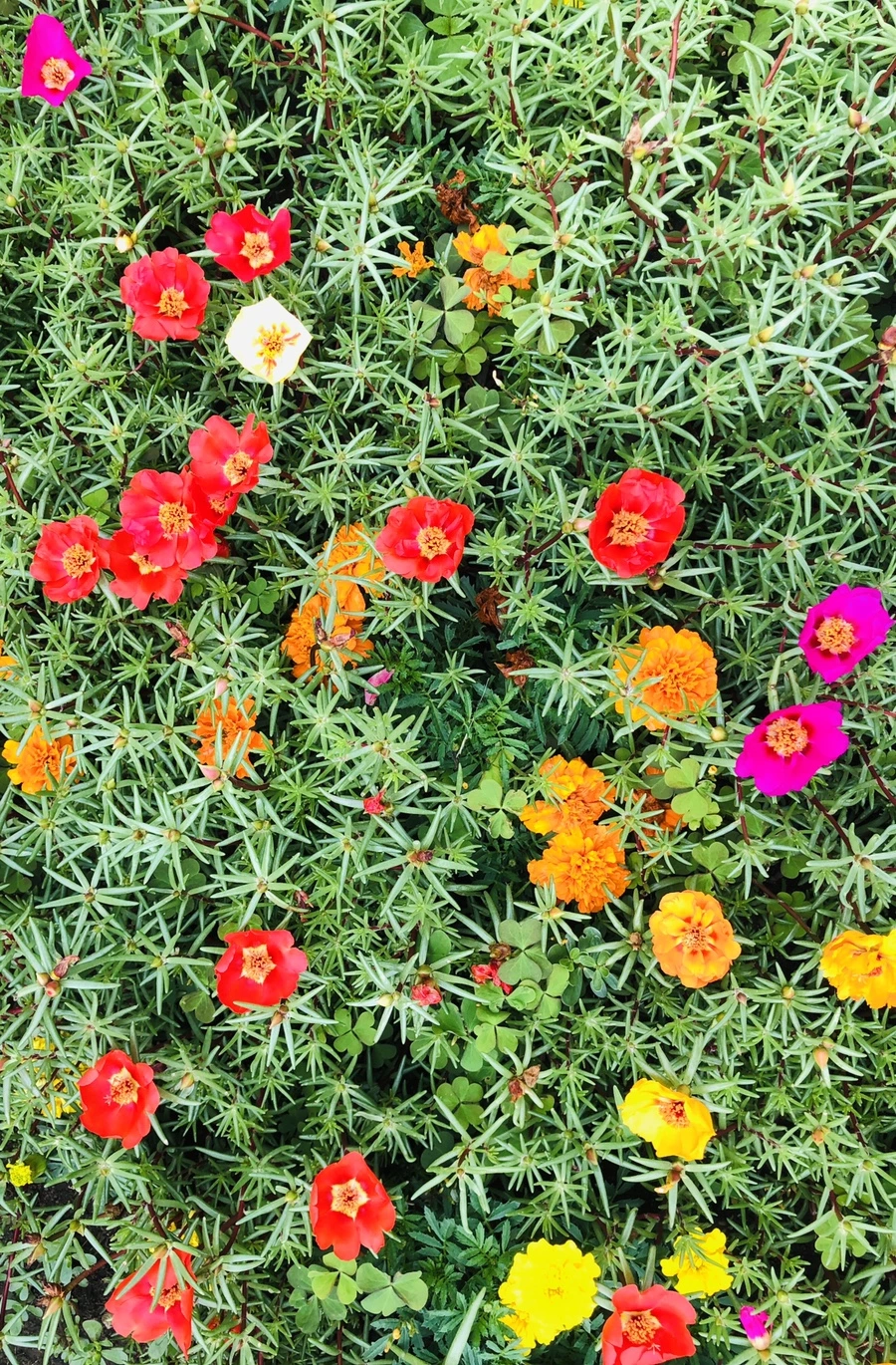 IMG_1281.jpg?type=w966