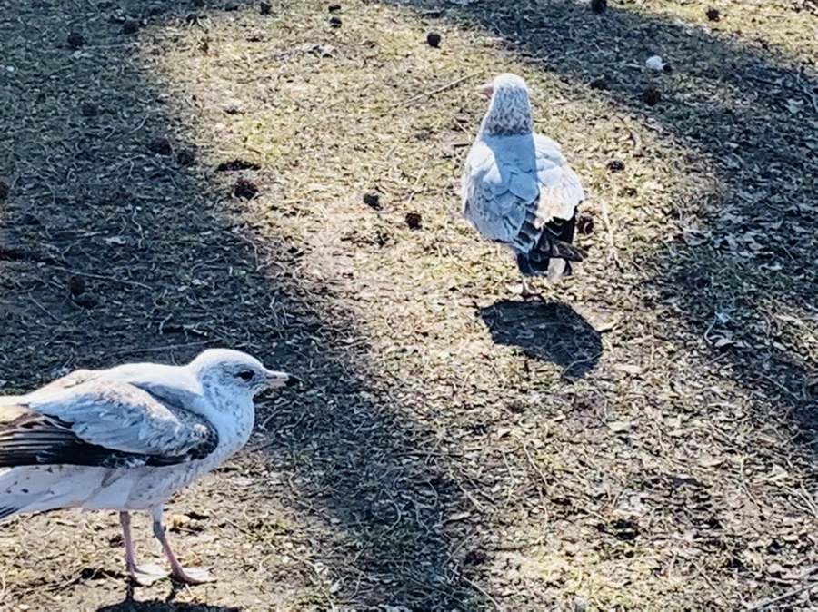 IMG_9283.jpg?type=w966