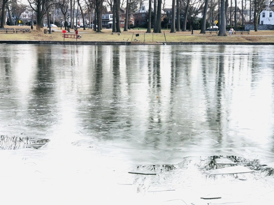 IMG_4763.jpg?type=w966