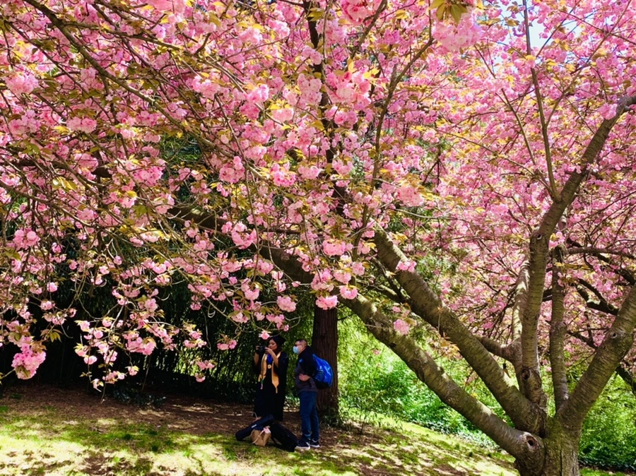 IMG_6479.jpg?type=w966