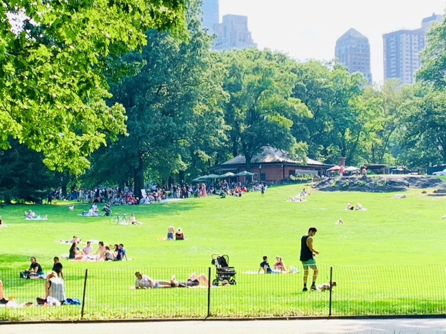 IMG_0670.jpg?type=w966