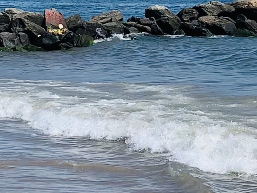 IMG_1074.jpg?type=w966