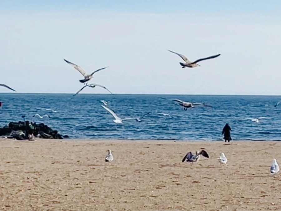 IMG_5046.jpg?type=w966