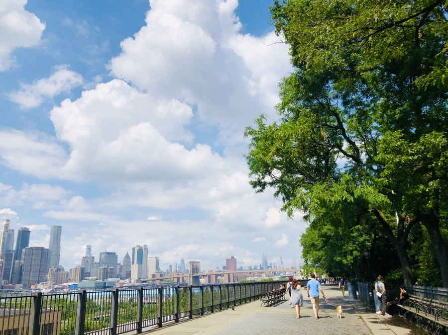 IMG_6221.jpg?type=w966