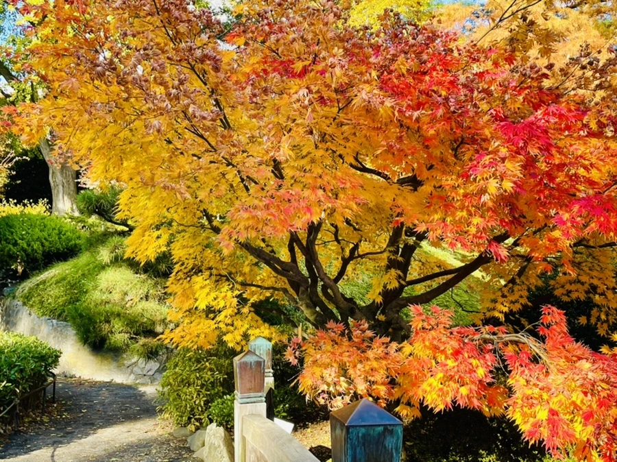 IMG_3122.jpg?type=w966