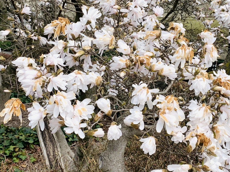 IMG_7189.jpg?type=w966