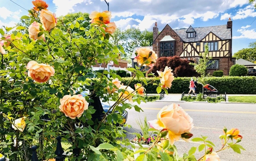 hUZOveqpfoIWsrpOKrzQT9pd4JU