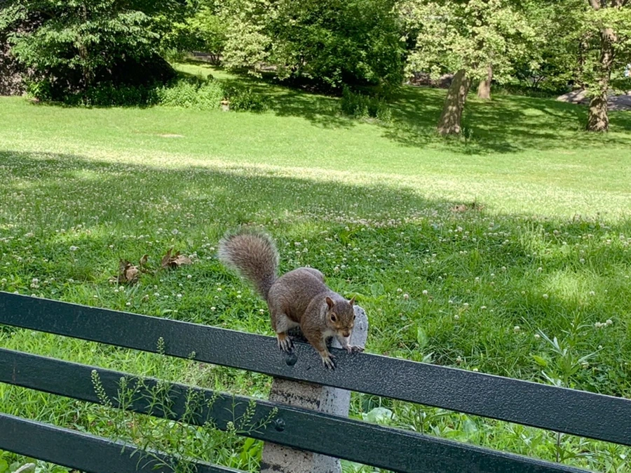 IMG_6475.jpg?type=w966