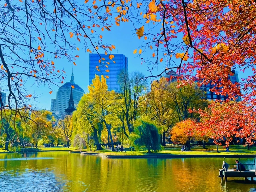 IMG_2608.jpg?type=w966