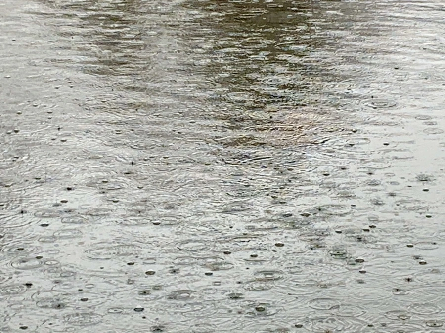 IMG_2099.jpg?type=w966