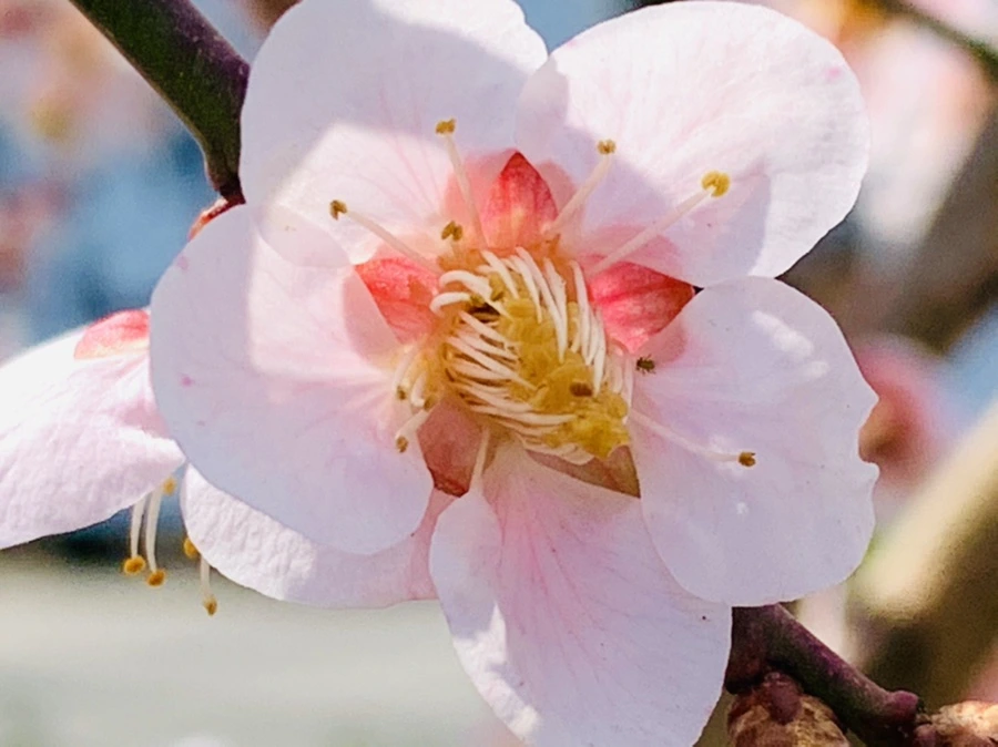 IMG_4255.jpg?type=w966