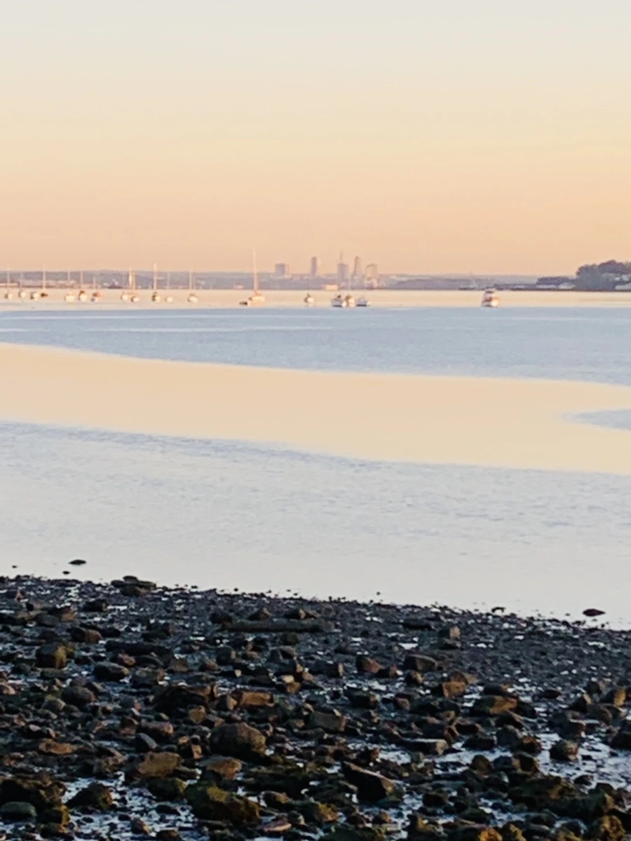 IMG_8610.jpg?type=w966