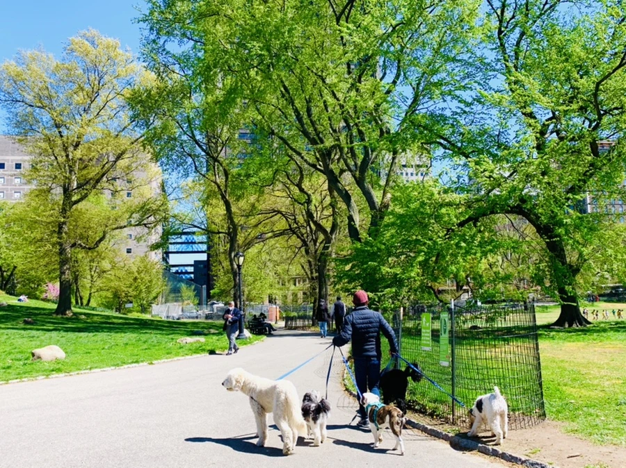 IMG_5802.jpg?type=w966