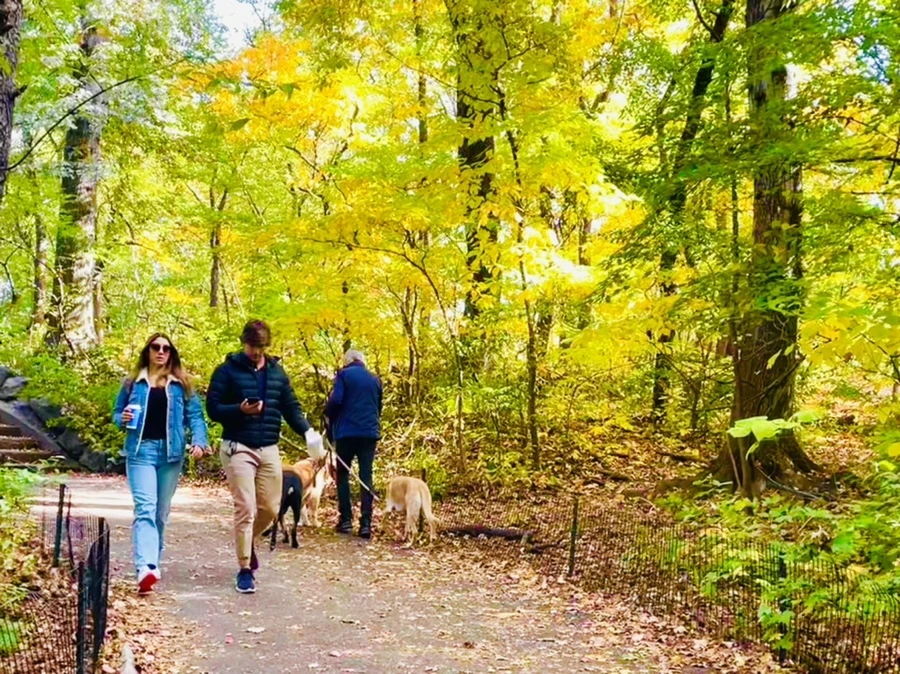 IMG_0268.jpg?type=w966