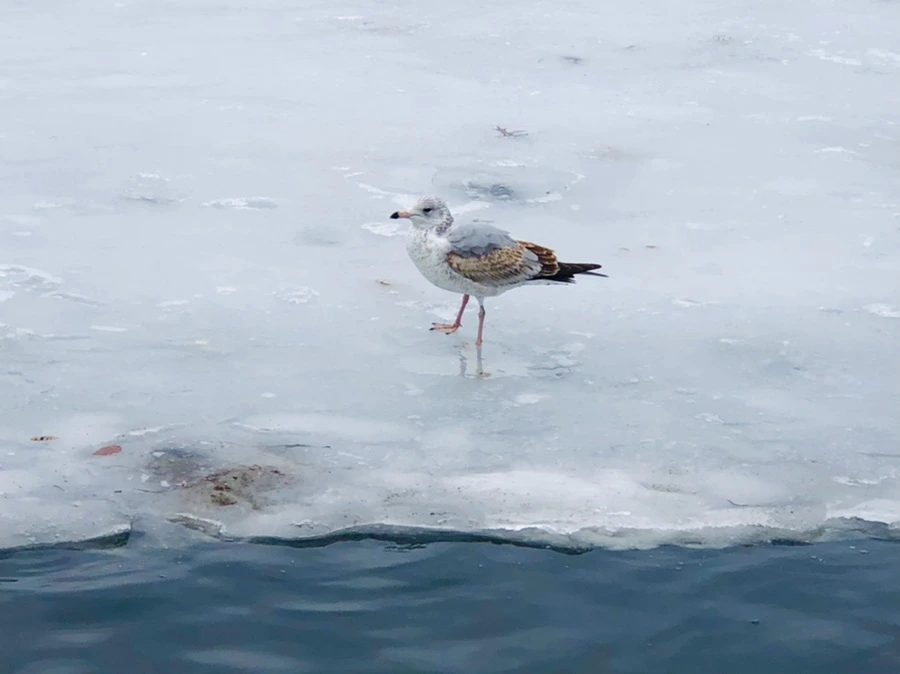 IMG_6268.jpg?type=w966