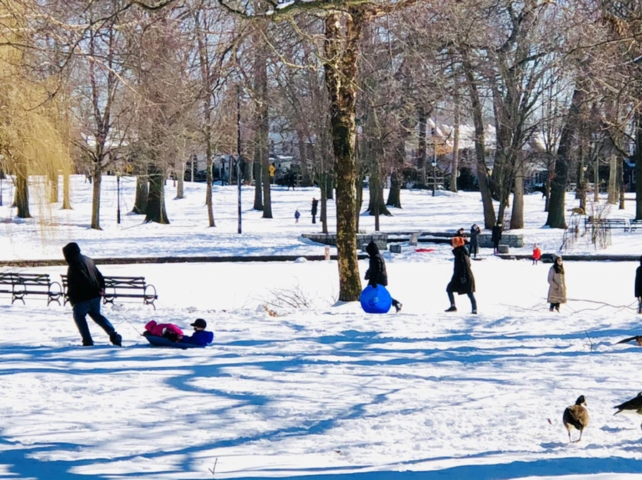 IMG_3990.jpg?type=w966