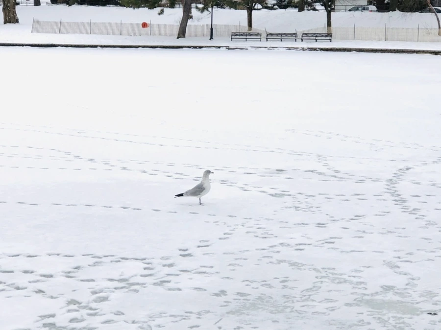 IMG_3743.jpg?type=w966