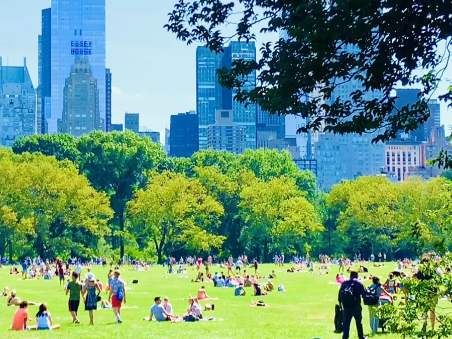 IMG_4425.jpg?type=w966