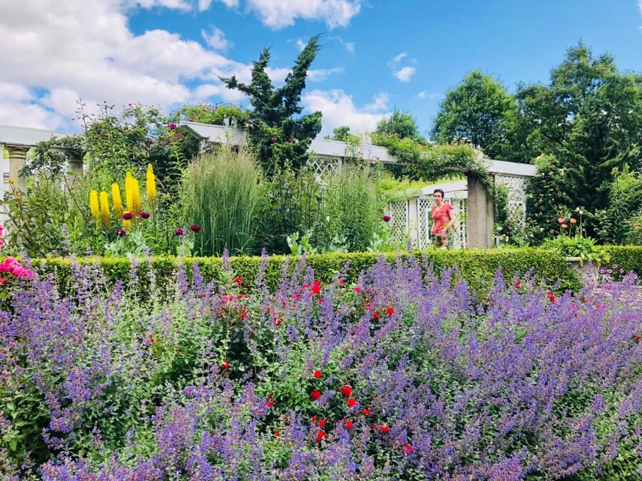 IMG_7896.jpg?type=w966