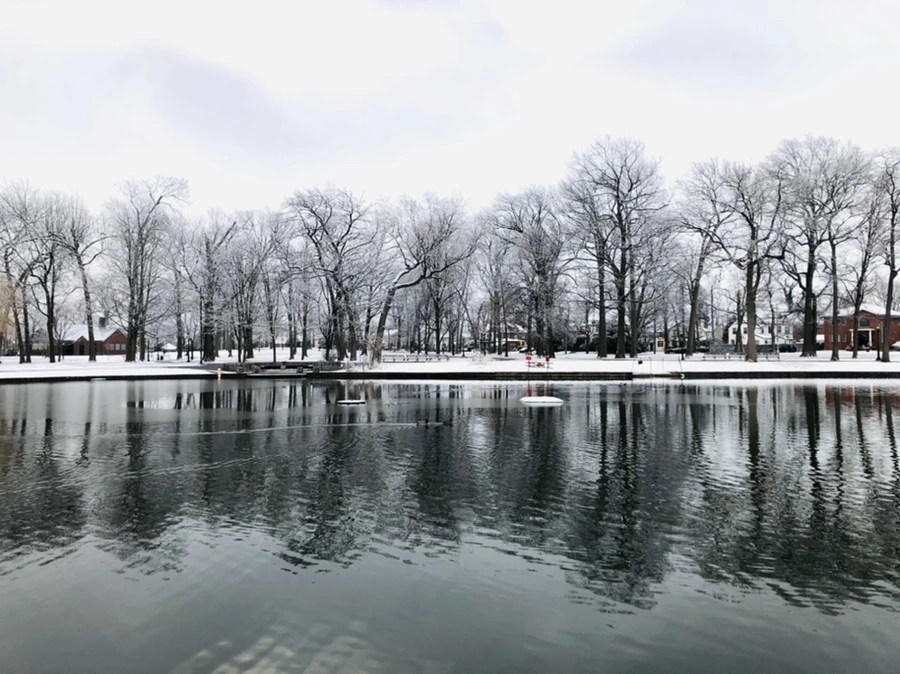 IMG_4474.jpg?type=w966